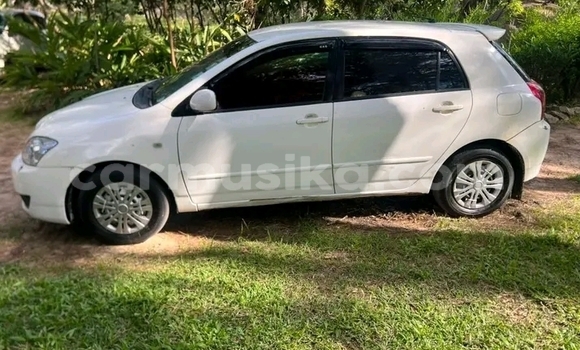 Buy Used Toyota Runx White Car in Borrowdale in Harare Buy Used Toyota Runx White Car in Borrowdale in Harare