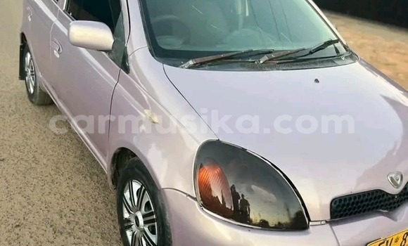 Buy Used Toyota Vitz Other Car in Greendale in Harare Buy Used Toyota Vitz Other Car in Greendale in Harare