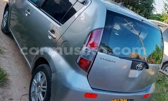 Buy Used Toyota Passo Other Car in Borrowdale in Harare