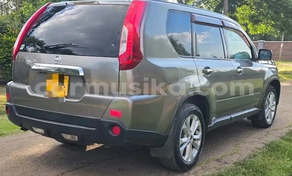 Buy Used Nissan X–Trail Other Car in Beitbridge in Matabeleland South
