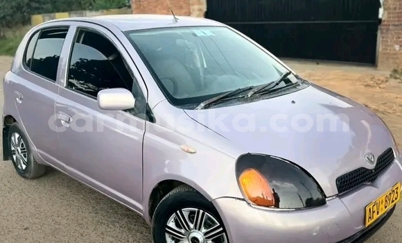Buy Used Toyota Vitz Other Car in Borrowdale in Harare Buy Used Toyota Vitz Other Car in Borrowdale in Harare