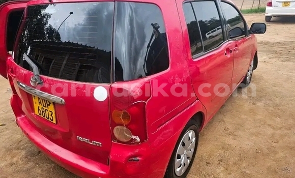 Buy Used Toyota Raum Red Car in Bulawayo in Bulawayo