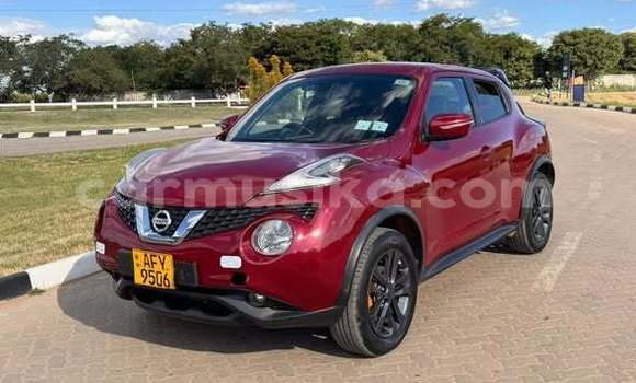 Buy Used Nissan Juke Other Car in Harare in Harare Buy Used Nissan Juke Other Car in Harare in Harare