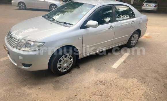 Tenga Tsaru Toyota Corolla Zvimwe Mota in Harare in Harare Tenga Tsaru Toyota Corolla Zvimwe Mota in Harare in Harare