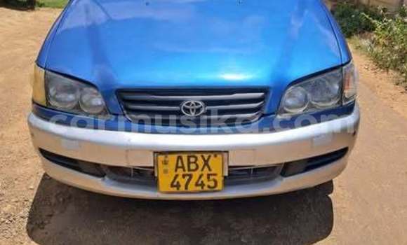 Buy Used Toyota Ipsum Other Car in Harare in Harare