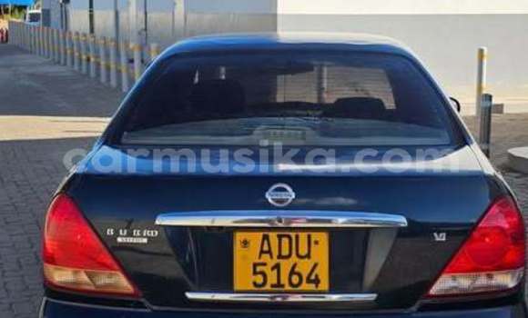 Tenga Tsaru Nissan Sylphy Zvimwe Mota in Harare in Harare Tenga Tsaru Nissan Sylphy Zvimwe Mota in Harare in Harare