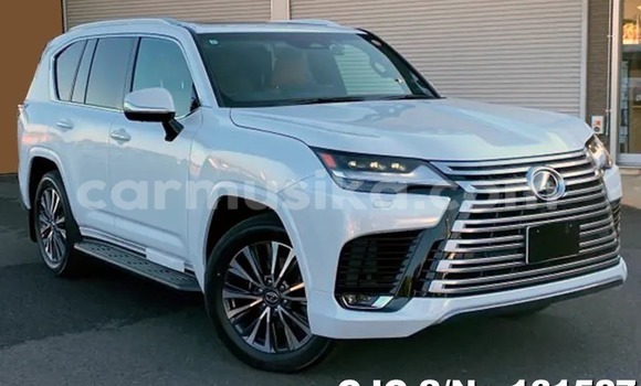 Buy New Lexus LX White Car in Harare in Harare Buy New Lexus LX White Car in Harare in Harare