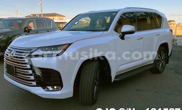 Buy New Lexus LX White Car in Harare in Harare Buy New Lexus LX White Car in Harare in Harare