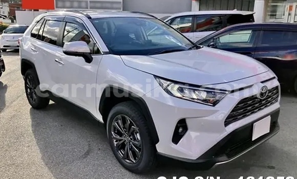 Buy New Toyota RAV4 White Car in Harare in Harare Buy New Toyota RAV4 White Car in Harare in Harare