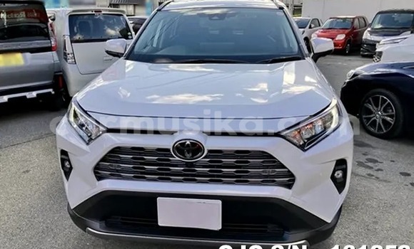 Buy New Toyota RAV4 White Car in Harare in Harare Buy New Toyota RAV4 White Car in Harare in Harare