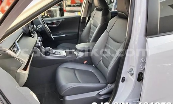 Buy New Toyota RAV4 White Car in Harare in Harare Buy New Toyota RAV4 White Car in Harare in Harare