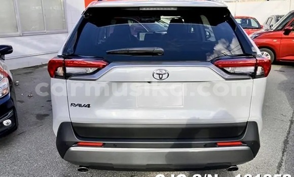 Buy New Toyota RAV4 White Car in Harare in Harare Buy New Toyota RAV4 White Car in Harare in Harare