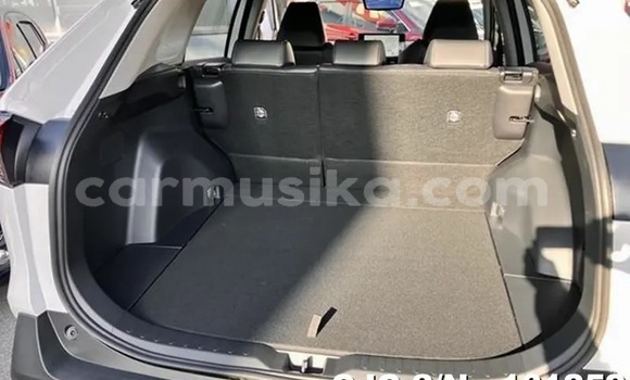 Buy New Toyota RAV4 White Car in Harare in Harare Buy New Toyota RAV4 White Car in Harare in Harare