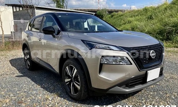 Buy New Nissan X–Trail Brown Car in Harare in Harare Buy New Nissan X–Trail Brown Car in Harare in Harare