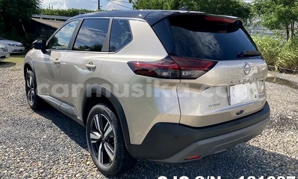 Buy New Nissan X–Trail Brown Car in Harare in Harare Buy New Nissan X–Trail Brown Car in Harare in Harare