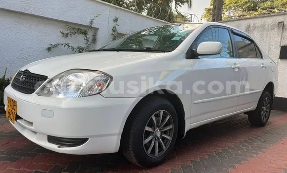 Buy Used Toyota Blizzard White Car in Chegutu in Mashonaland West Buy Used Toyota Blizzard White Car in Chegutu in Mashonaland West