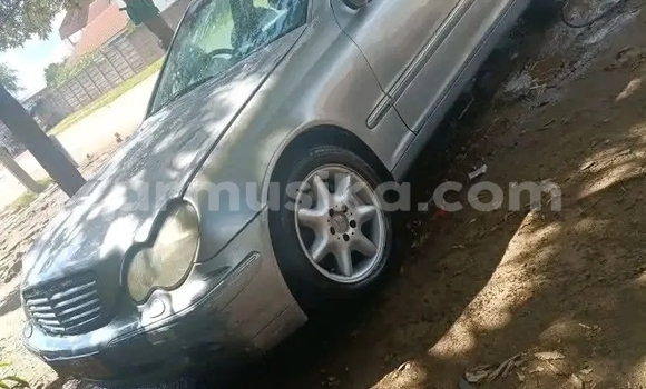 Buy Used Mercedes‒Benz 250 Other Car in Bulawayo in Bulawayo Buy Used Mercedes‒Benz 250 Other Car in Bulawayo in Bulawayo