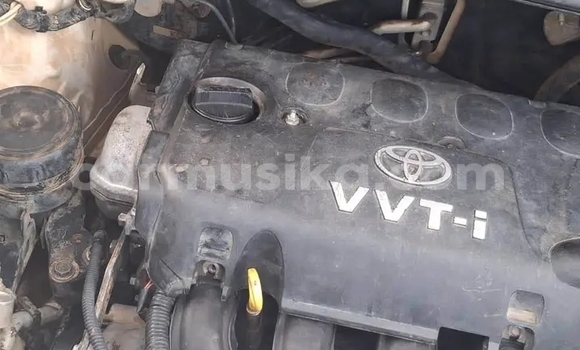 Buy Used Toyota Vitz White Car in Bulawayo in Bulawayo Buy Used Toyota Vitz White Car in Bulawayo in Bulawayo