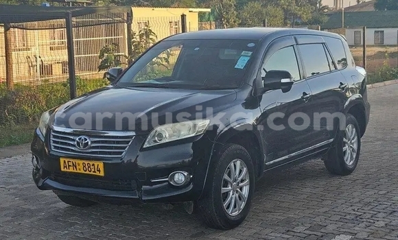 Buy Used Toyota Vanguard Black Car in Bulawayo in Bulawayo Buy Used Toyota Vanguard Black Car in Bulawayo in Bulawayo