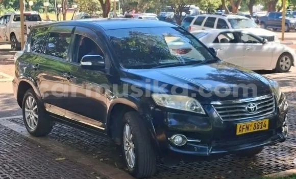 Buy Used Toyota Vanguard Black Car in Bulawayo in Bulawayo Buy Used Toyota Vanguard Black Car in Bulawayo in Bulawayo