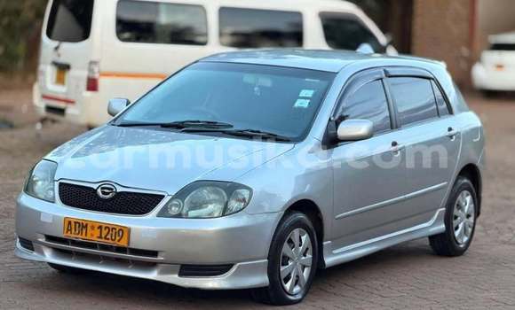 Buy Used Toyota Runx Other Car in Harare in Harare Buy Used Toyota Runx Other Car in Harare in Harare