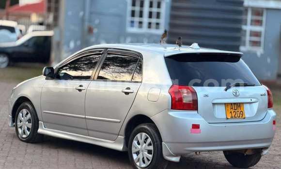 Buy Used Toyota Runx Other Car in Harare in Harare Buy Used Toyota Runx Other Car in Harare in Harare