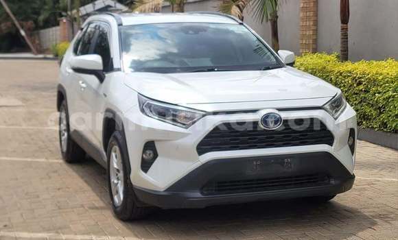 Buy Used Toyota RAV4 White Car in Harare in Harare Buy Used Toyota RAV4 White Car in Harare in Harare