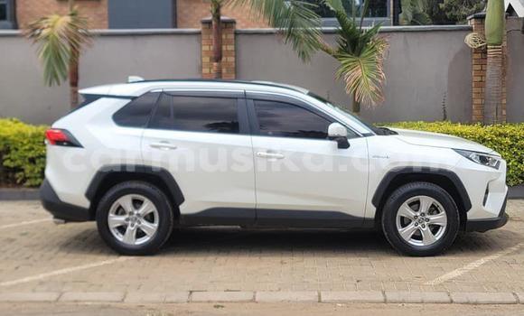 Buy Used Toyota RAV4 White Car in Harare in Harare Buy Used Toyota RAV4 White Car in Harare in Harare