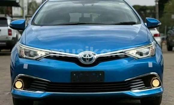 Buy Used Toyota Auris Blue Car in Harare in Harare Buy Used Toyota Auris Blue Car in Harare in Harare