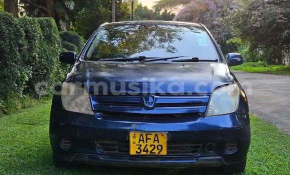 Buy Used Toyota IST Blue Car in Harare in Harare Buy Used Toyota IST Blue Car in Harare in Harare