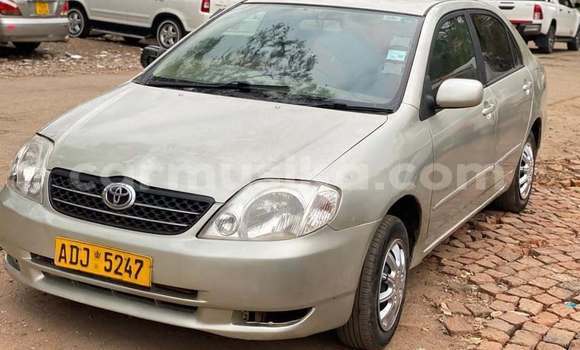 Buy Used Toyota Corolla Other Car in Harare in Harare Buy Used Toyota Corolla Other Car in Harare in Harare