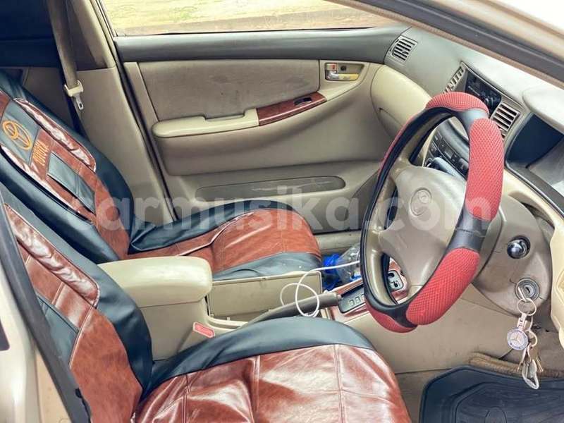 Big with watermark toyota corolla harare harare 37831