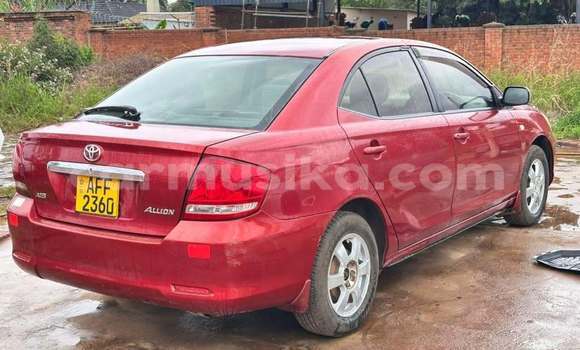 Buy Used Toyota Allion Red Car in Harare in Harare Buy Used Toyota Allion Red Car in Harare in Harare