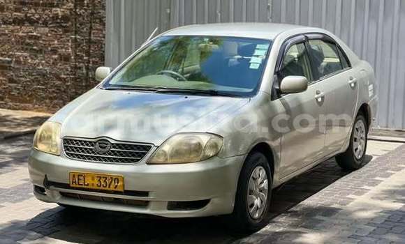 Buy Used Toyota Corolla Other Car in Harare in Harare