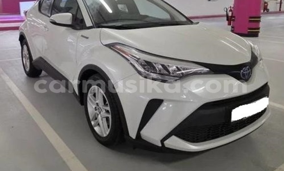 Buy Used Toyota C-HR White Car in Harare in Harare