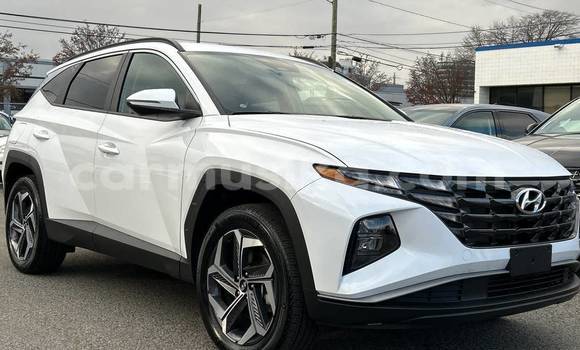 Buy Used Hyundai Tucson White Car in Belvedere in Harare