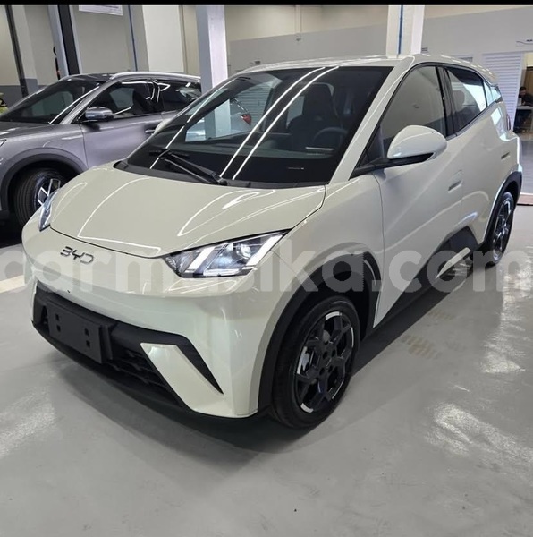 Big with watermark byd seagull harare emerald hill 37907