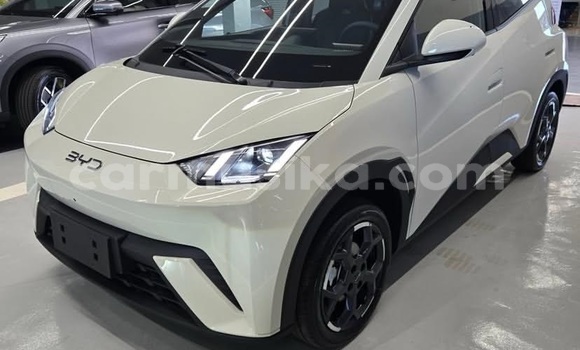 Buy Used BYD Seagull White Car in Emerald Hill in Harare