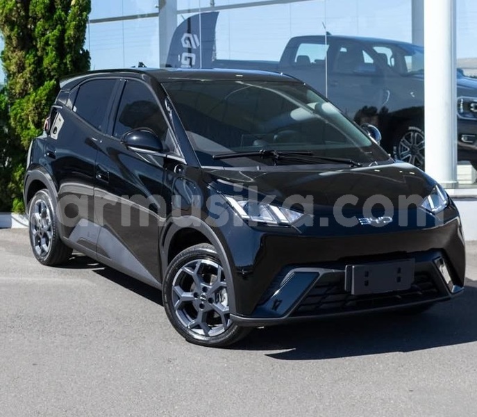 Big with watermark byd seagull harare emerald hill 37907