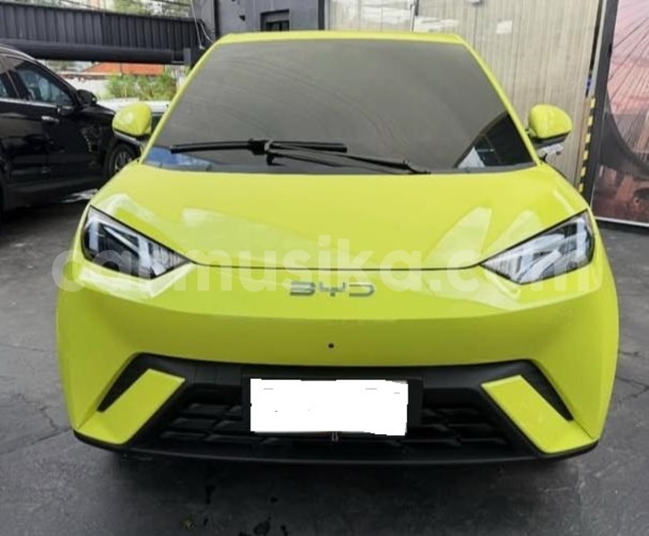 Big with watermark byd seagull harare emerald hill 37907