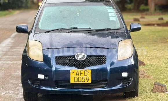 Buy Used Toyota Vitz Blue Car in Harare in Harare
