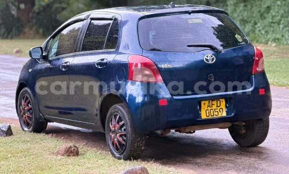 Buy Used Toyota Vitz Blue Car in Harare in Harare Buy Used Toyota Vitz Blue Car in Harare in Harare