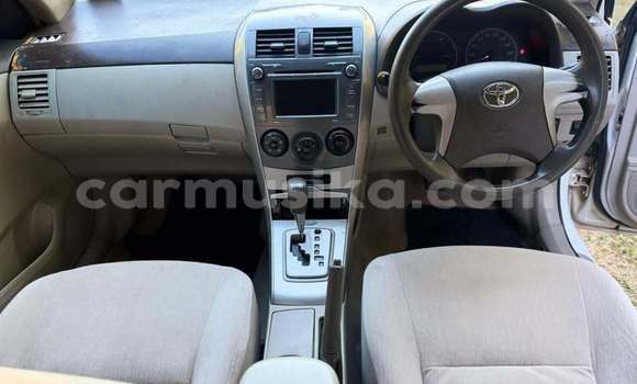 Buy Used Toyota Axio White Car in Harare in Harare Buy Used Toyota Axio White Car in Harare in Harare