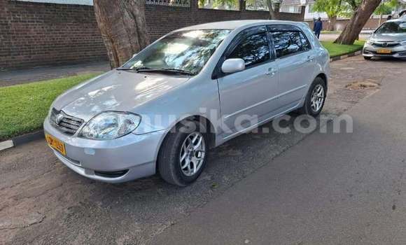 Buy Used Toyota Runx Other Car in Harare in Harare