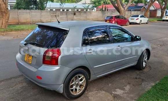 Buy Used Toyota Runx Other Car in Harare in Harare Buy Used Toyota Runx Other Car in Harare in Harare