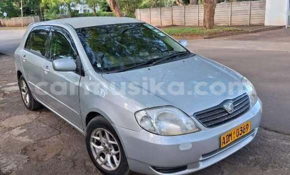 Buy Used Toyota Runx Other Car in Harare in Harare Buy Used Toyota Runx Other Car in Harare in Harare