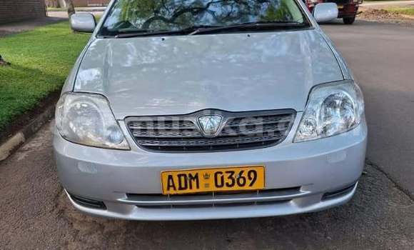 Buy Used Toyota Runx Other Car in Harare in Harare Buy Used Toyota Runx Other Car in Harare in Harare