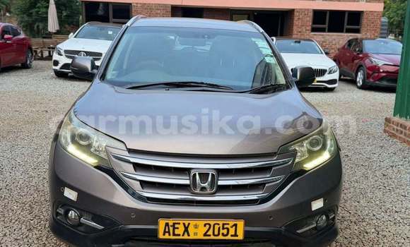 Buy Used Honda CR–V Other Car in Harare in Harare