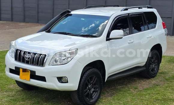 Buy Used Toyota Prado White Car in Harare in Harare