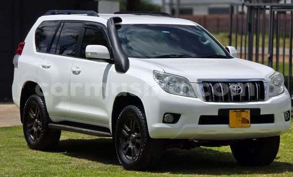 Buy Used Toyota Prado White Car in Harare in Harare Buy Used Toyota Prado White Car in Harare in Harare